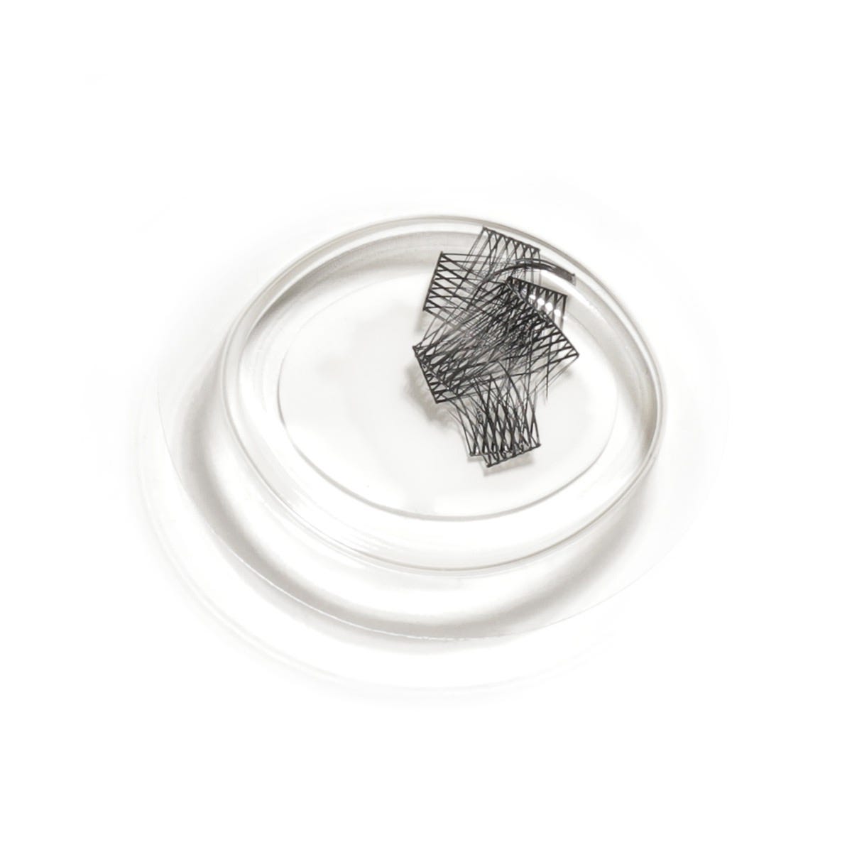 LipSense LashSense Lashes Refill Plumeria ciglia finte 1 pz seta
