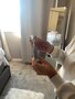 LipSense Skincare C-Bright Siero antimacchia vitamina C