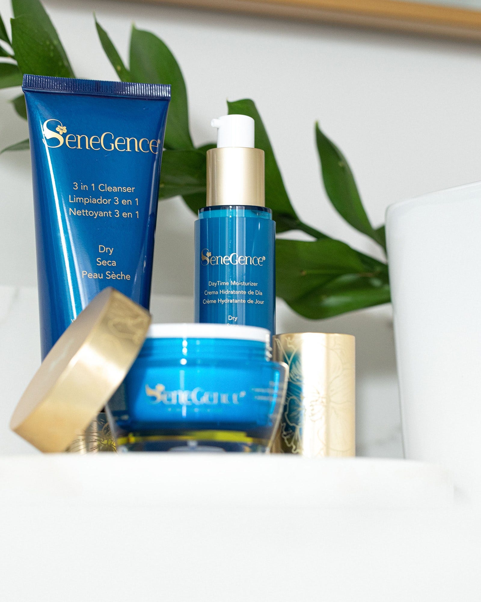 LipSense Evening Moisturizer Dry crema notte pelle secca