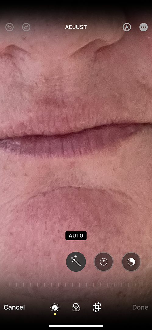 LipSense Lips Overnight Maschera labbra notte con applicatore