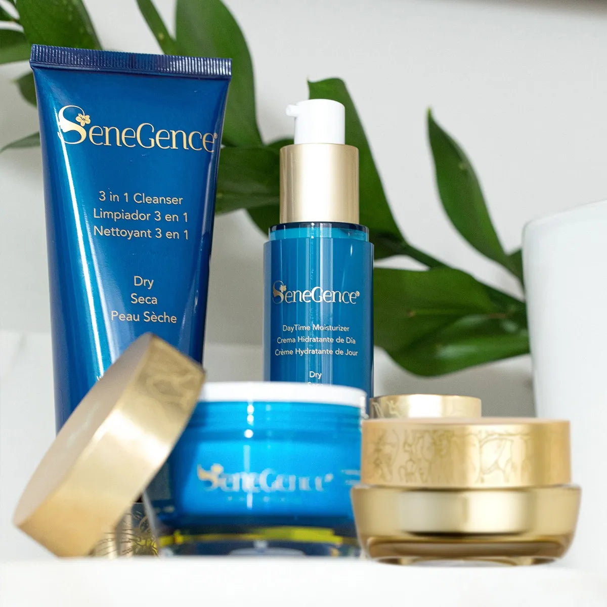 Lipsense Skincare Dry SkinCare Regimen Set viso pelli secche 4 pezzi
