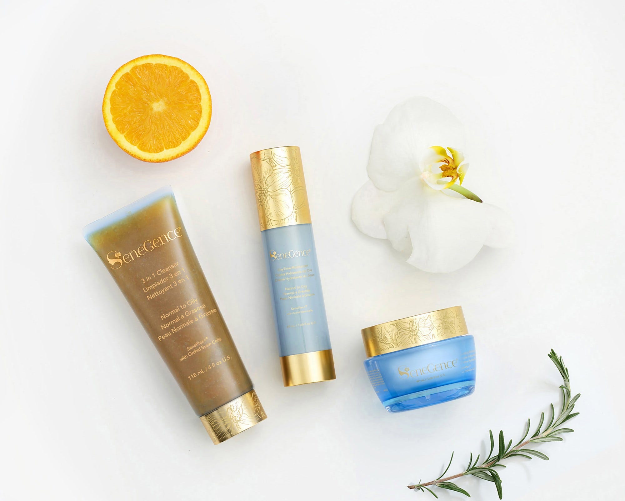 Lipsense Skincare Evening crema notte pelli normali grasse