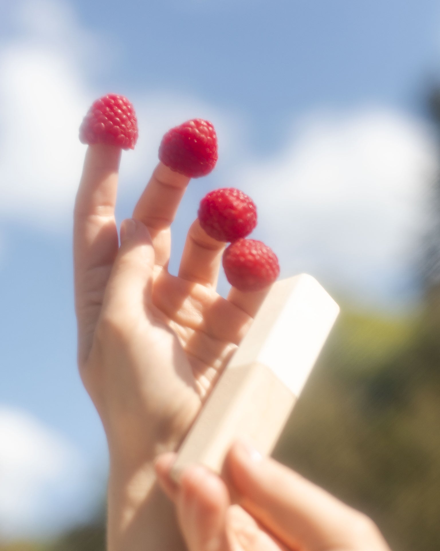 HAVU Raspberry rossetto rosa lampone freddo