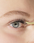 Lipsense Eyes LashSense Blooming Bond colla ciglia finte