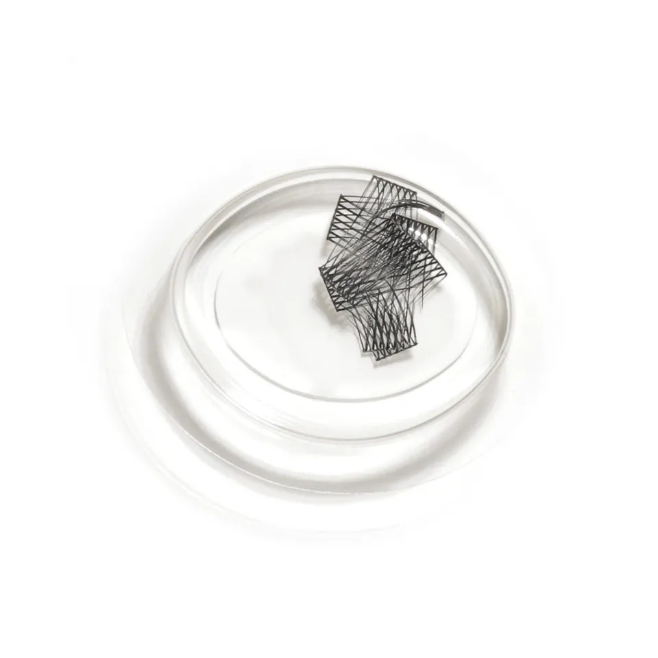 LipSense LashSense Lashes Refill Plumeria ciglia finte 1 pz seta